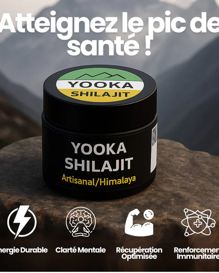 YOOKA SHILAJIT 50G