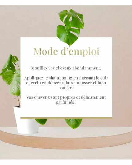 Shampoing accélérateur de croissance - Ricin