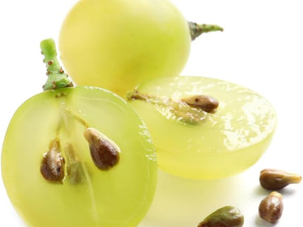 PHYTODENSIA Shampooing Repulpant - 200ml