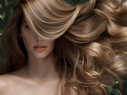 PHYTODENSIA Shampooing Repulpant - 200ml