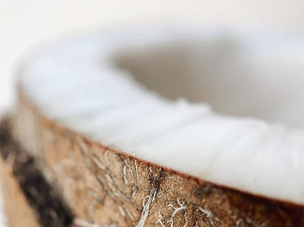 ARGANICARE Sérum ultra-nourrissant et réparateur - Cheveux ternes, très secs & frisés - Coco