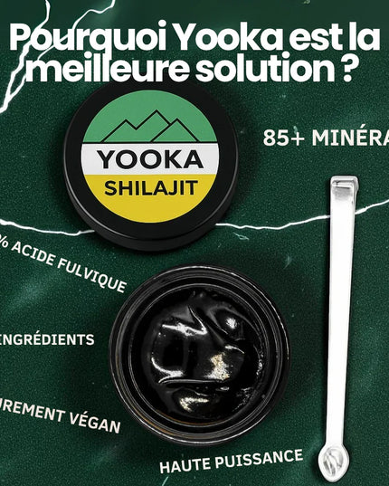 YOOKA SHILAJIT 50G