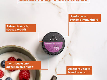 SIHO SHILAJIT Résine 100% - 15g