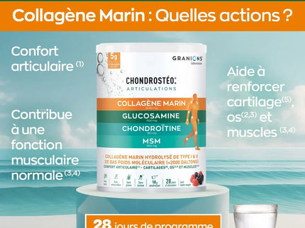 CHONDROSTÉO + Articulations - Collagène Marin - Poudre 280g