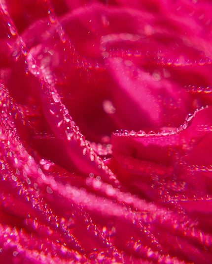 ROSE Eau Parfumée 30ml - ROGER GALLET